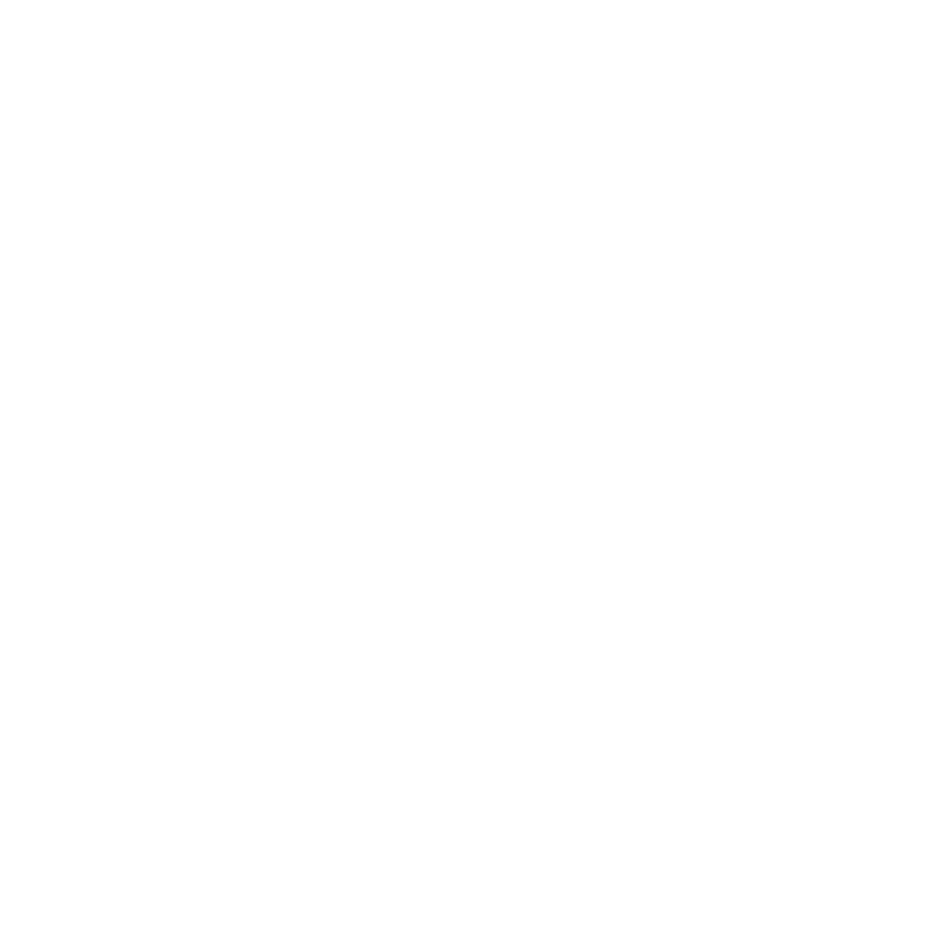 Ace Hardware