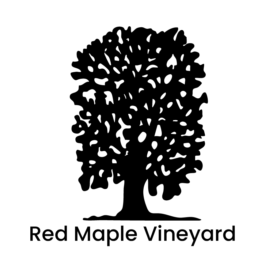 maple